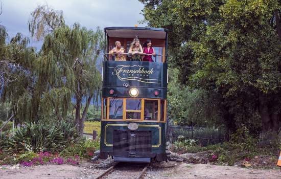 first class tours franschhoek